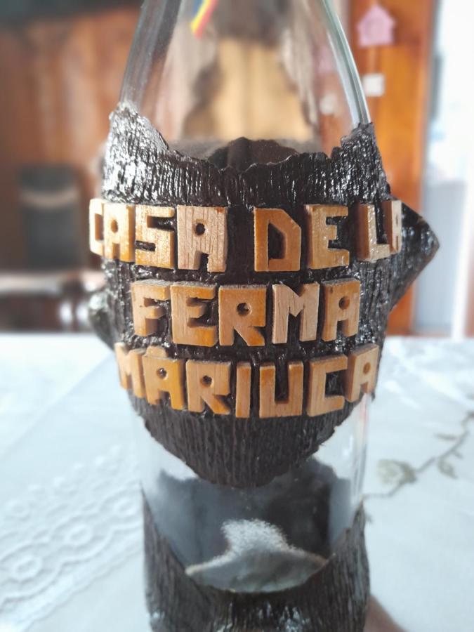 Casa De La Ferma Mariuca Villa Berbesti Dış mekan fotoğraf