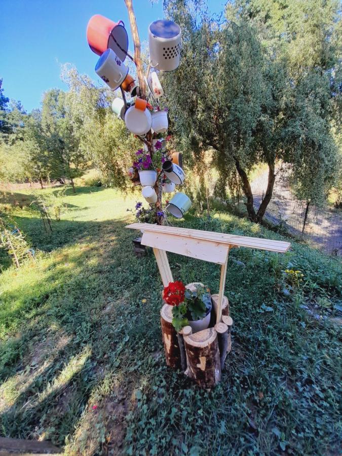 Casa De La Ferma Mariuca Villa Berbesti Dış mekan fotoğraf