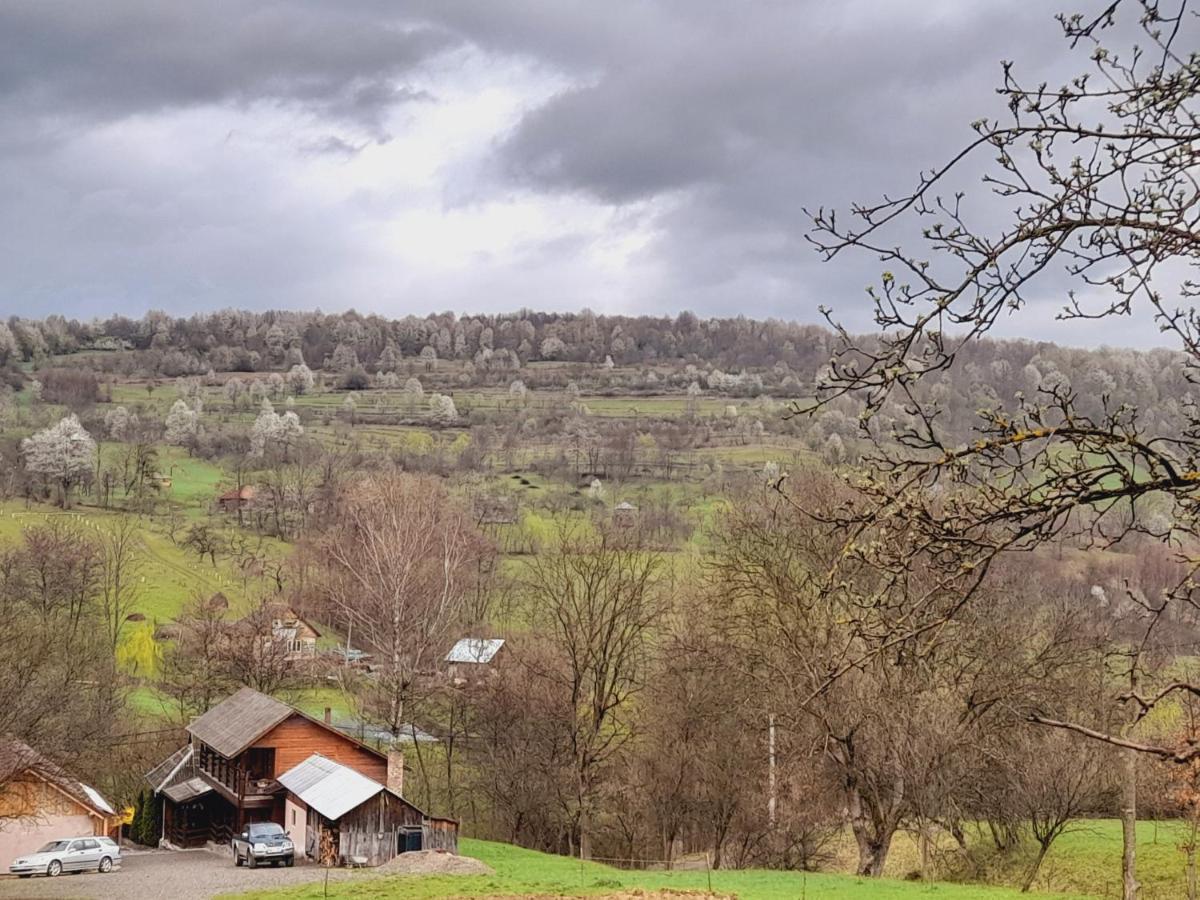 Casa De La Ferma Mariuca Villa Berbesti Dış mekan fotoğraf