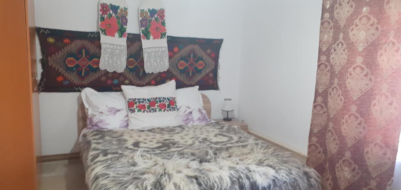 Casa De La Ferma Mariuca Villa Berbesti Dış mekan fotoğraf