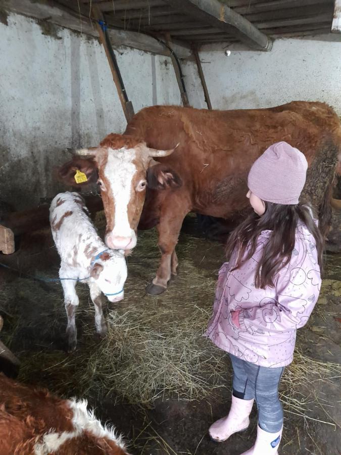 Casa De La Ferma Mariuca Villa Berbesti Dış mekan fotoğraf