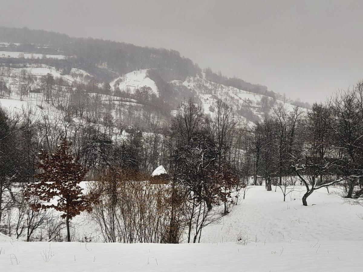 Casa De La Ferma Mariuca Villa Berbesti Dış mekan fotoğraf