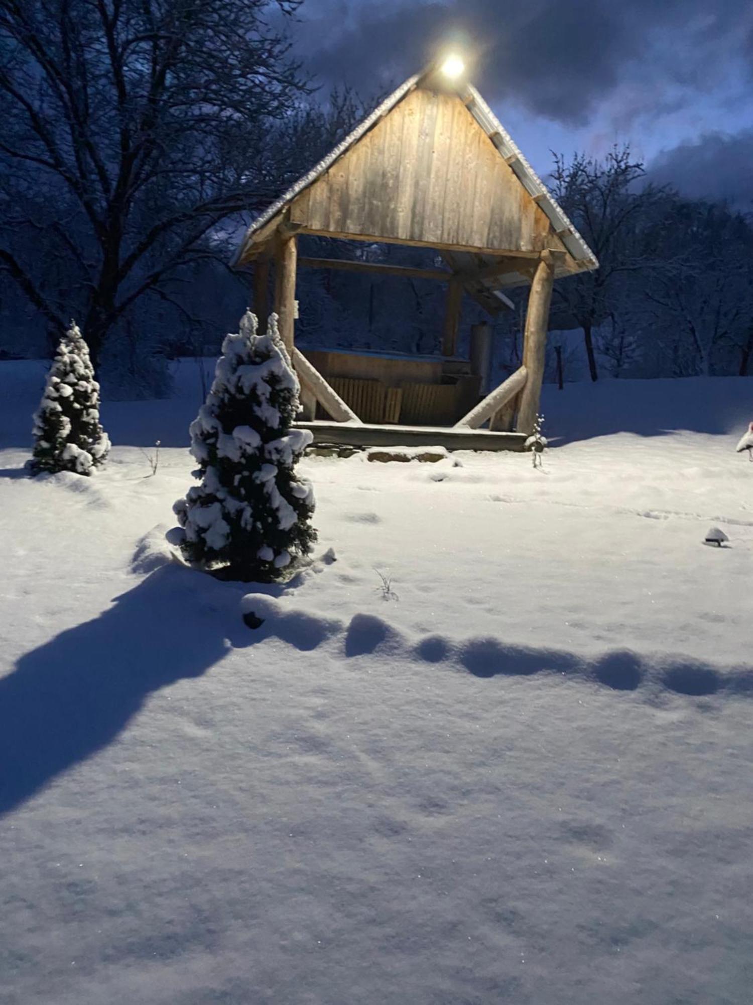 Casa De La Ferma Mariuca Villa Berbesti Dış mekan fotoğraf